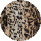 light leopard